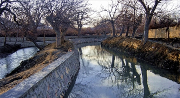 Australia and FAO to work together on improving fresh water management in Asian agriculture to safeguard the region’s food security 